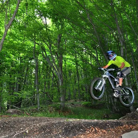 Finale Bike And *
