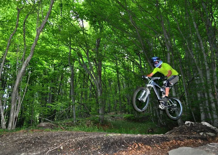 Finale Bike And *